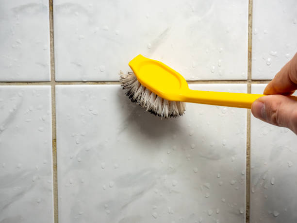 Trusted Ironton, MO Mold Removal Experts