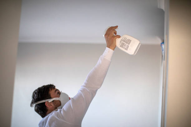 Best Home Mold Removal  in Ironton, MO