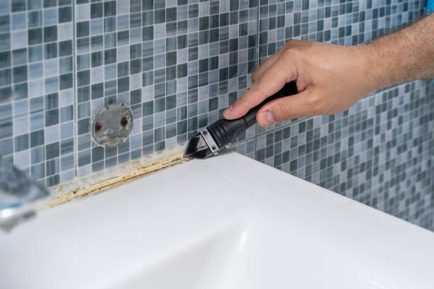 Trusted Ironton, MO Mold Removal Experts